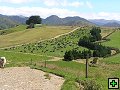 thn_NZ leden-unor 2006 106.jpg